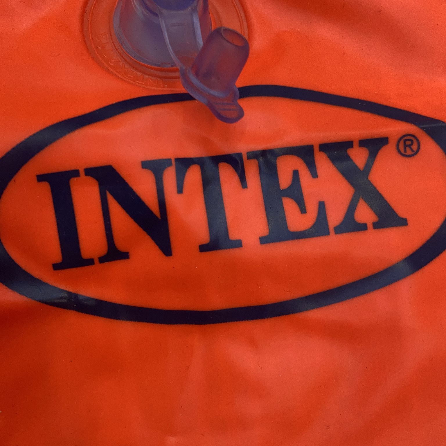 Intex