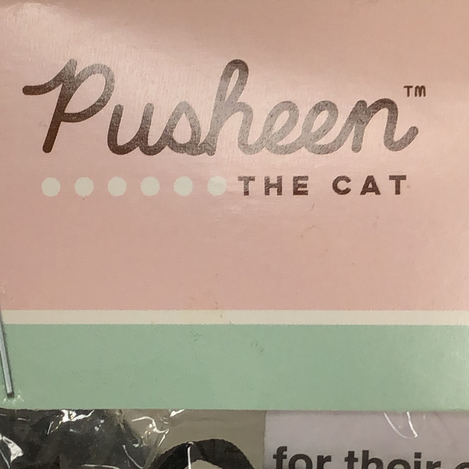 Pusheen