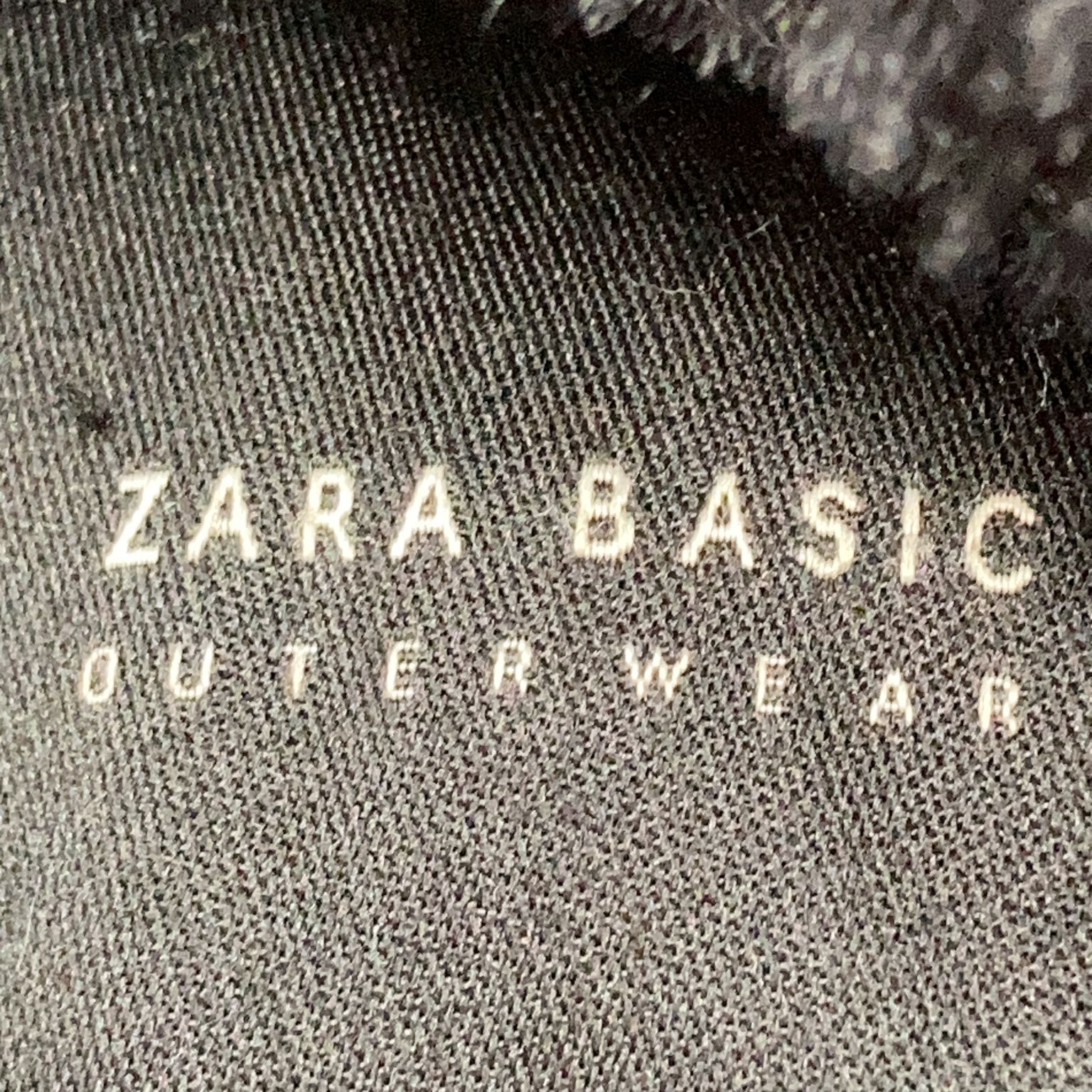 Zara Basic Outerwear