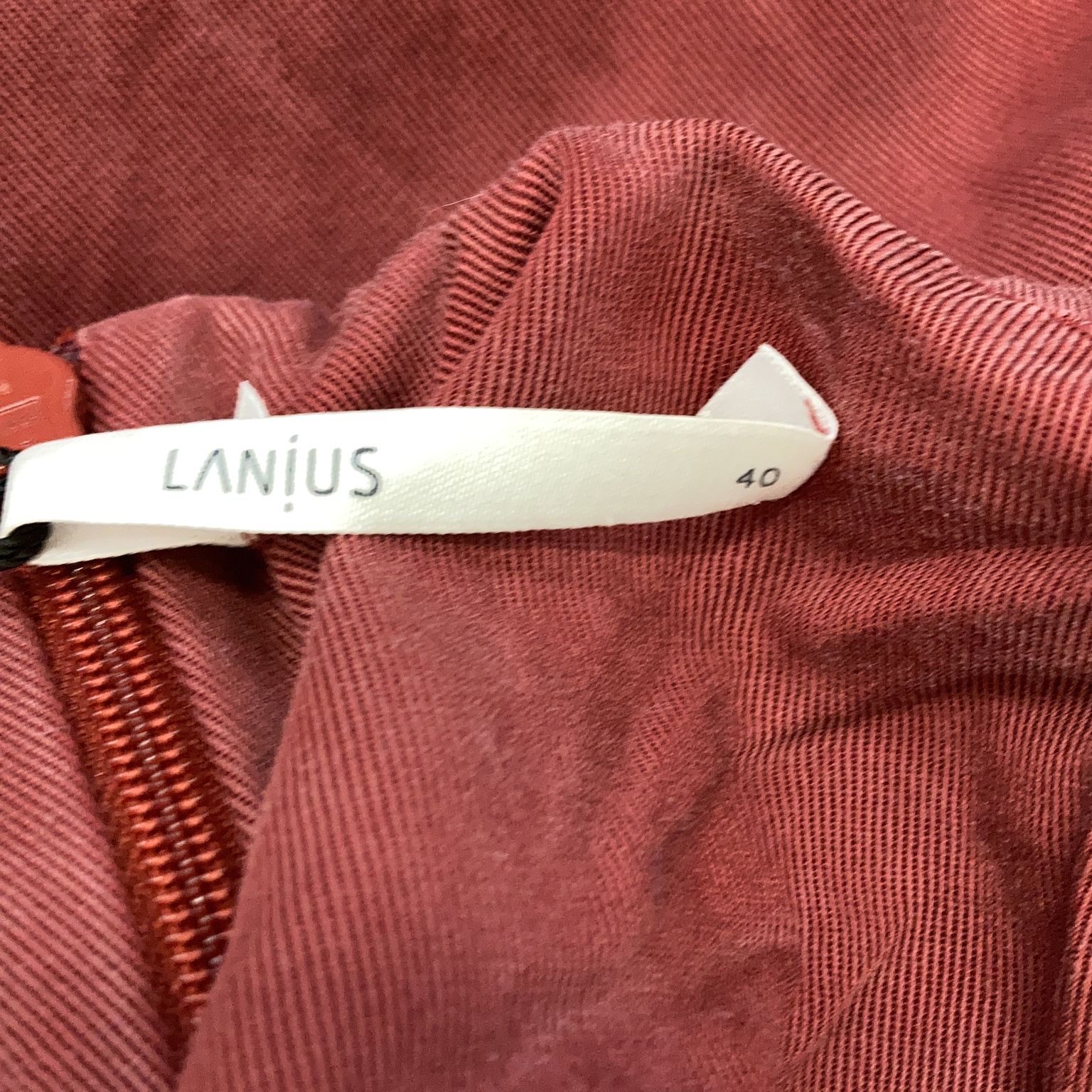 Lanius