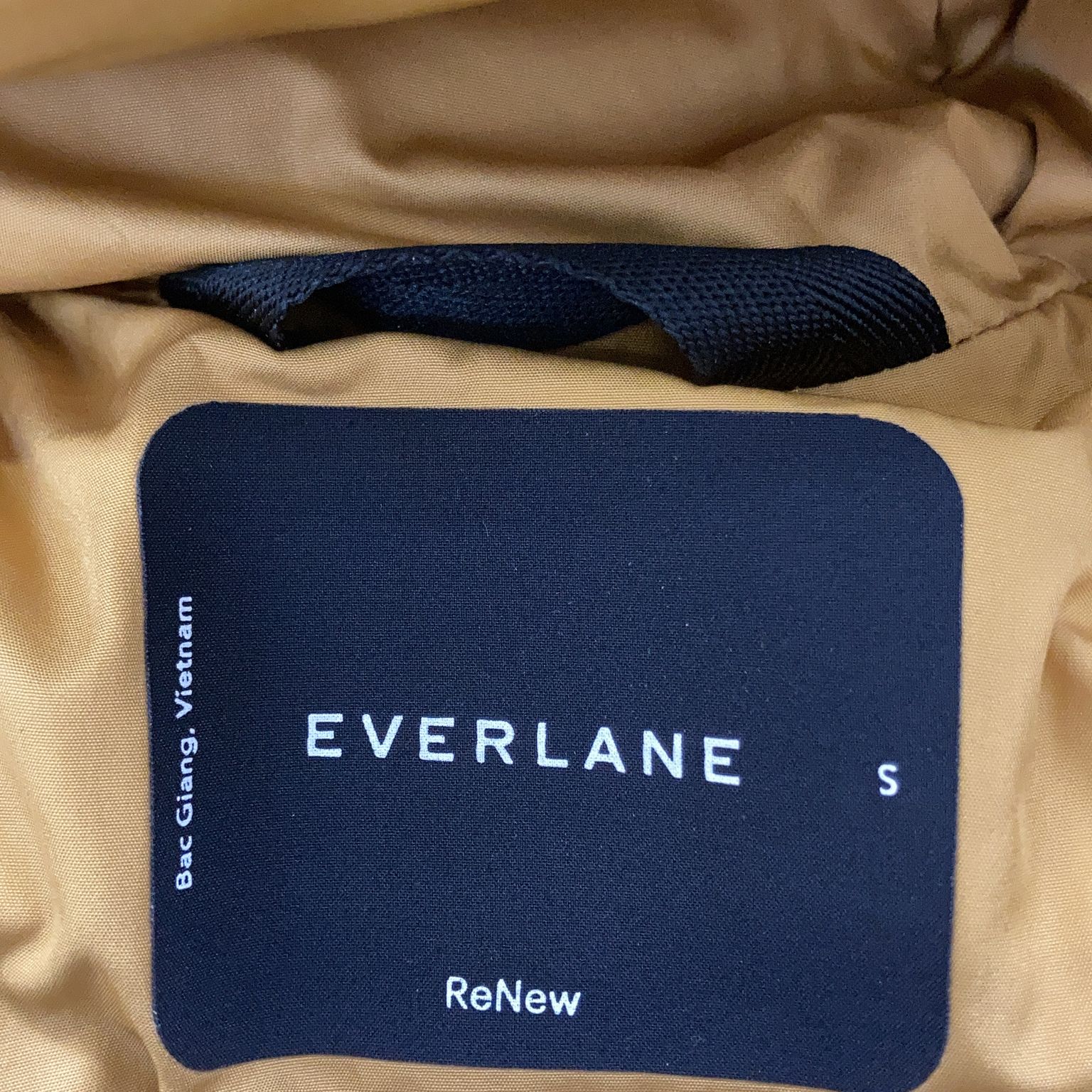 Everlane