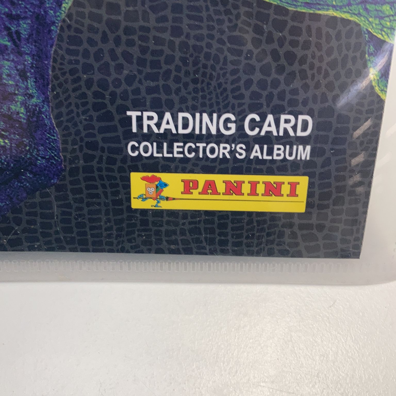 Panini