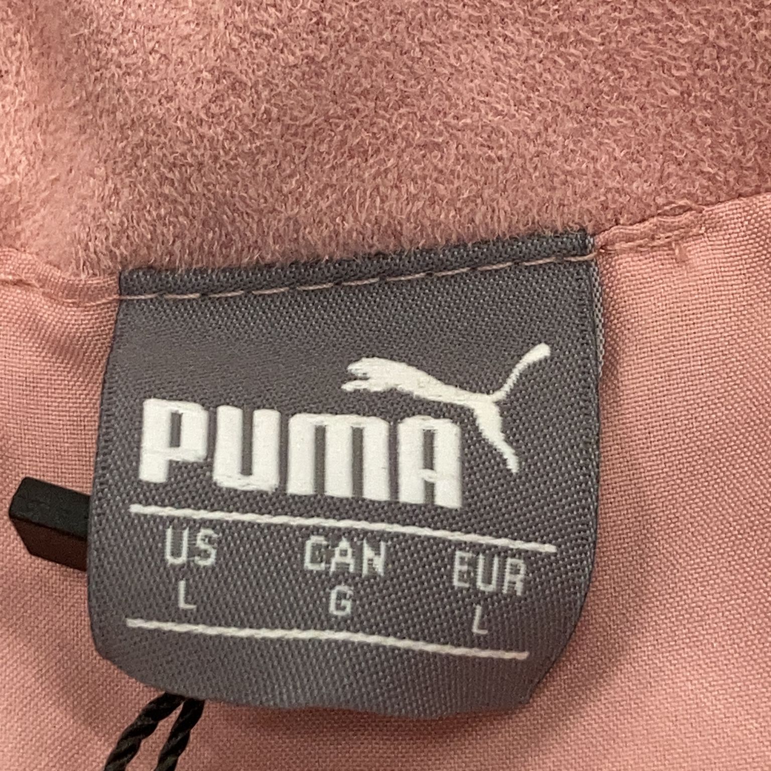 Puma