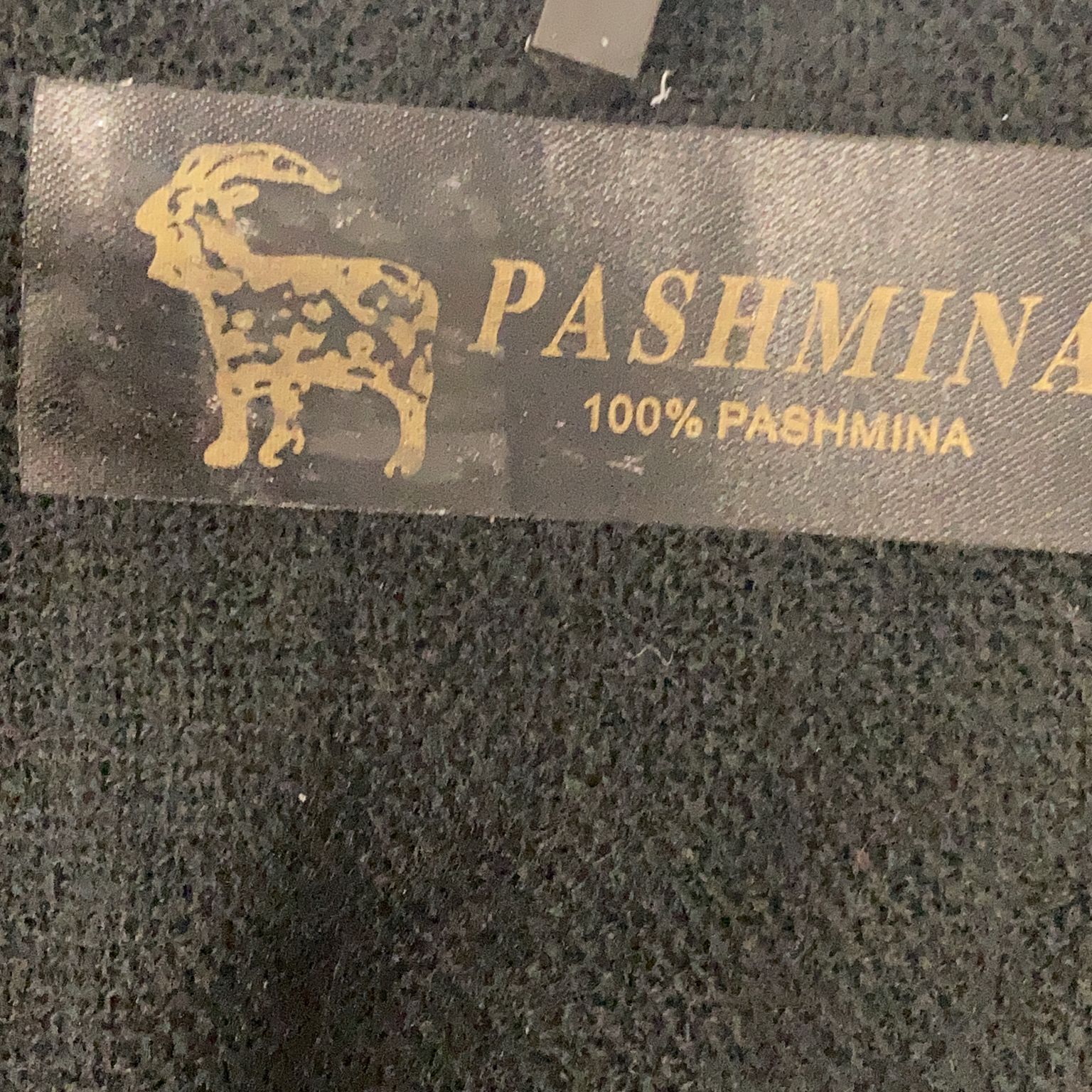 Pashmina