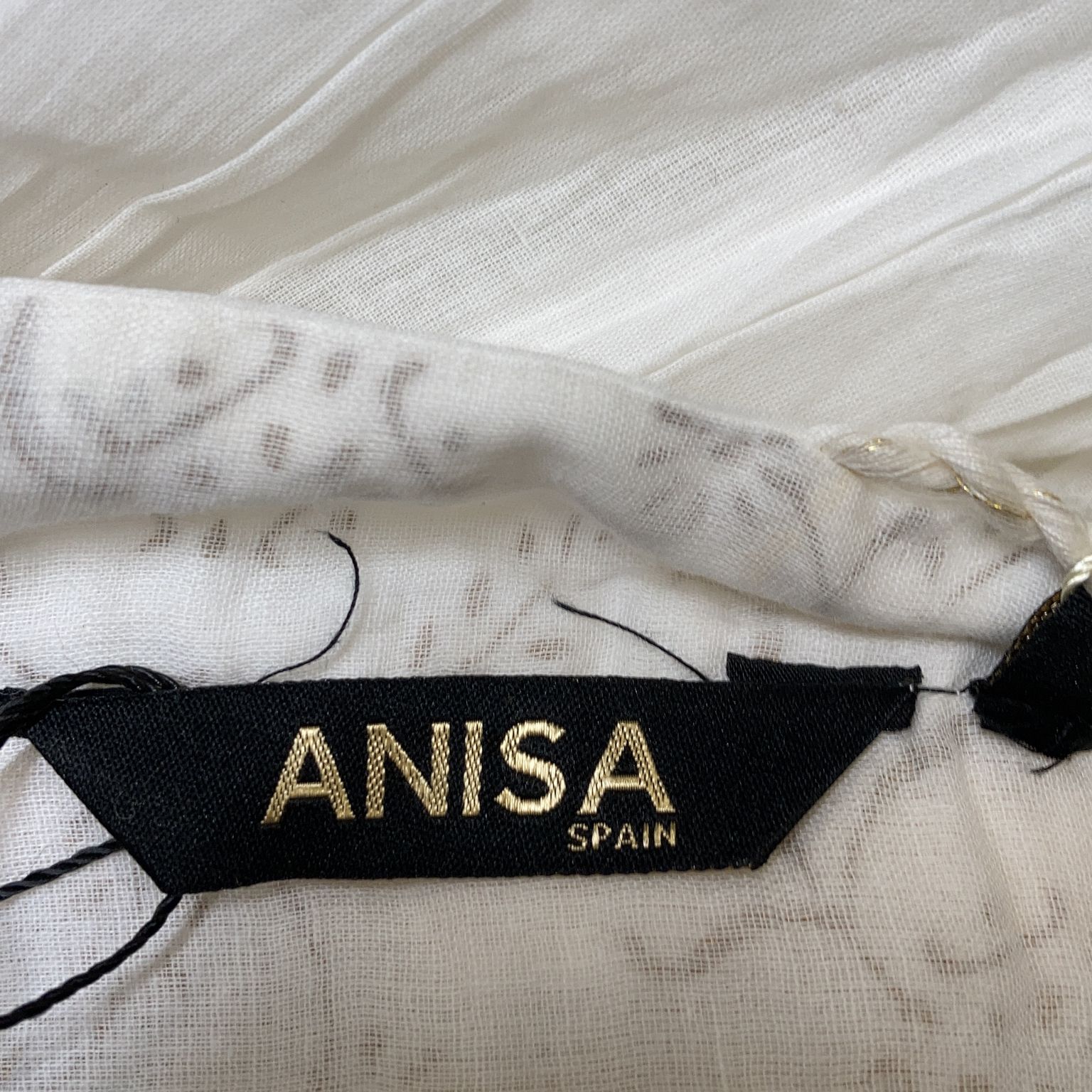 Anisa