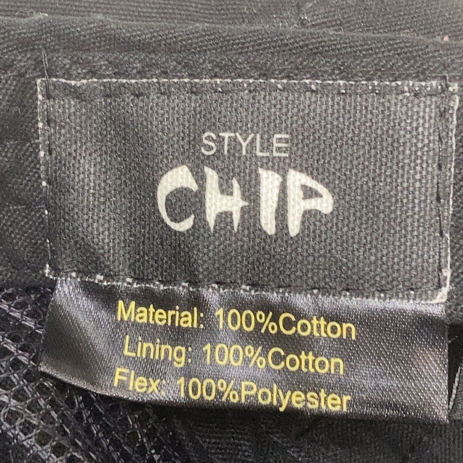 Chip