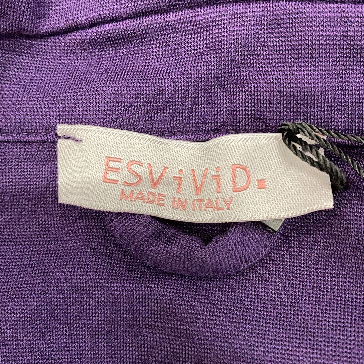 ESViViD