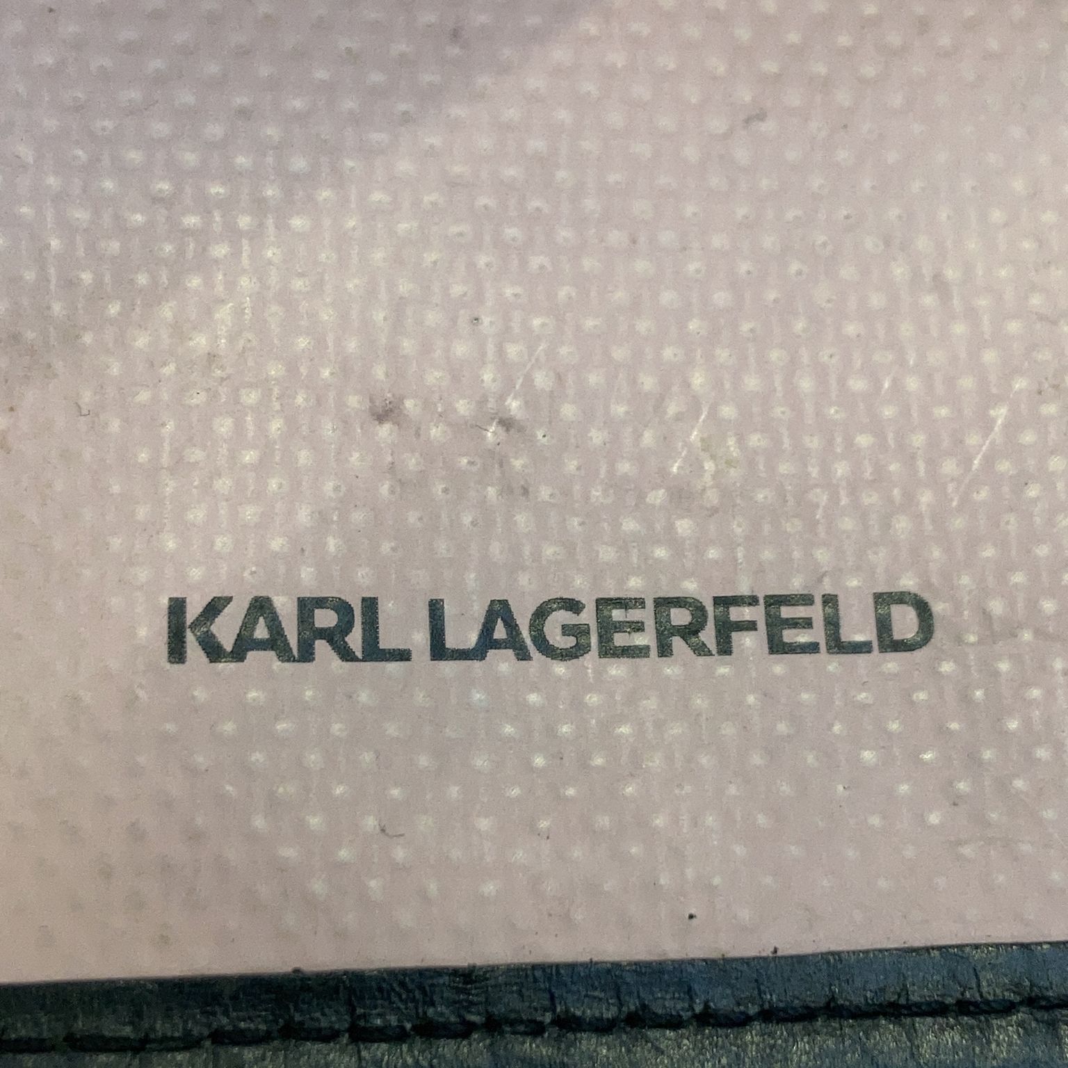 Karl Lagerfeld