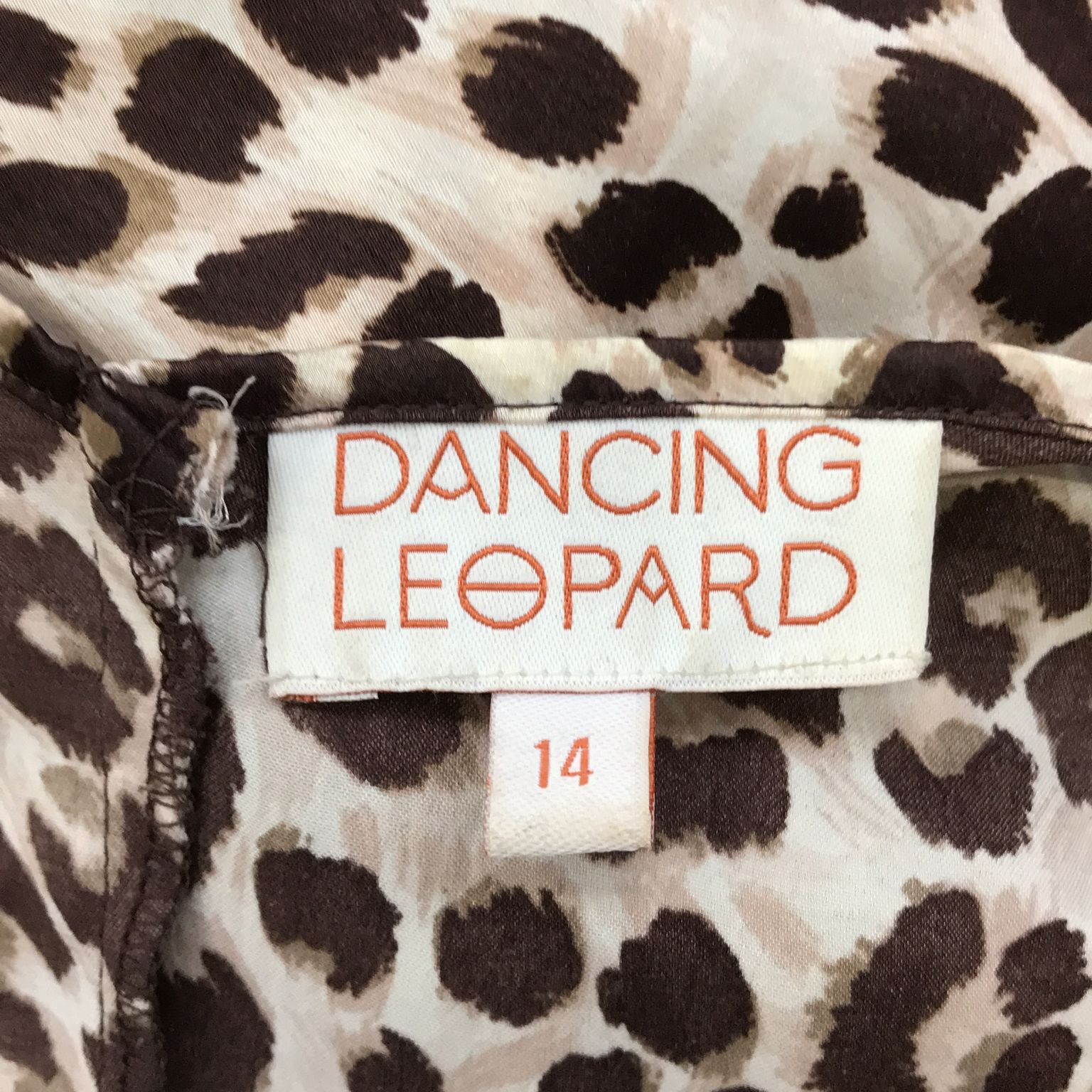 Dancing Leopard