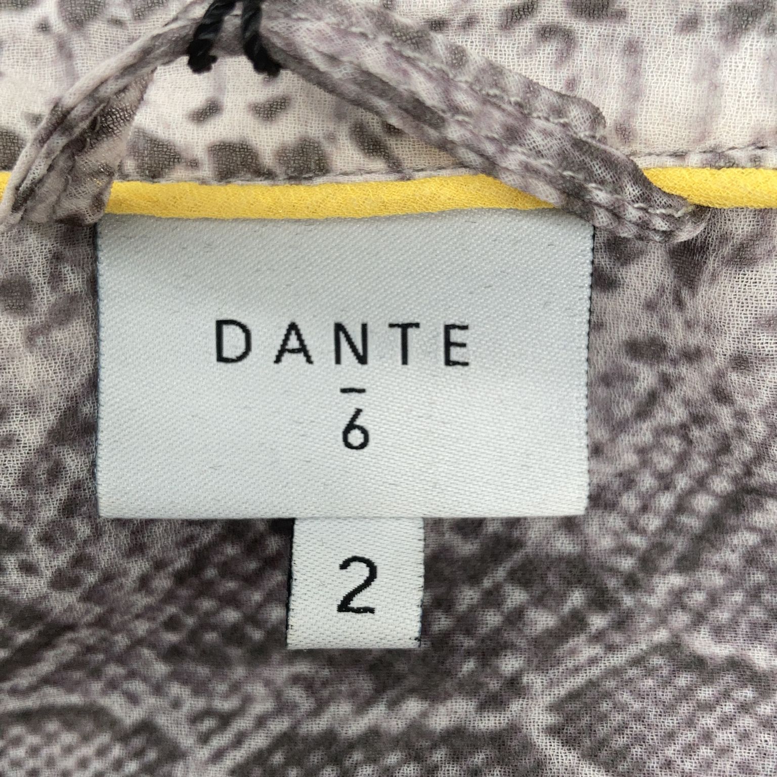 Dante 6