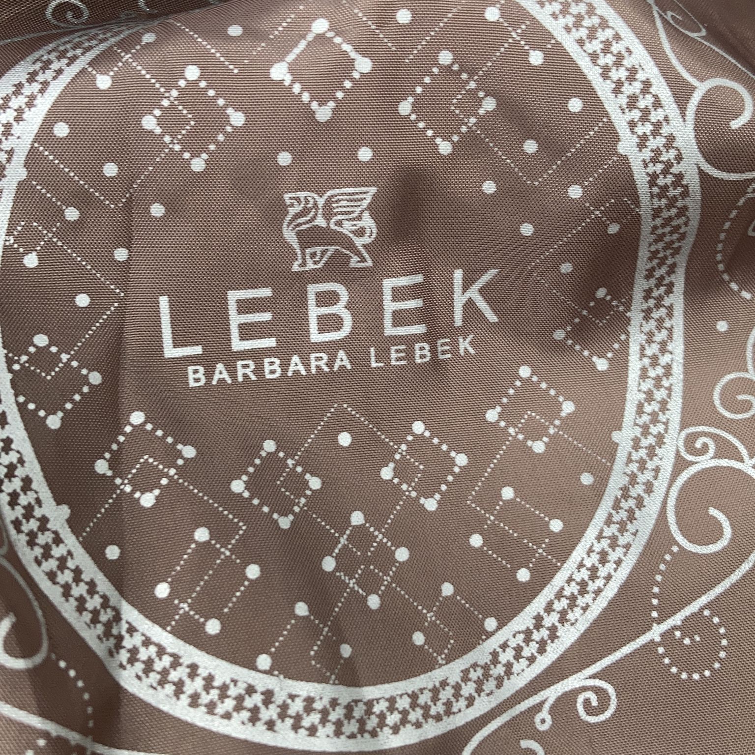 Barbara Lebek