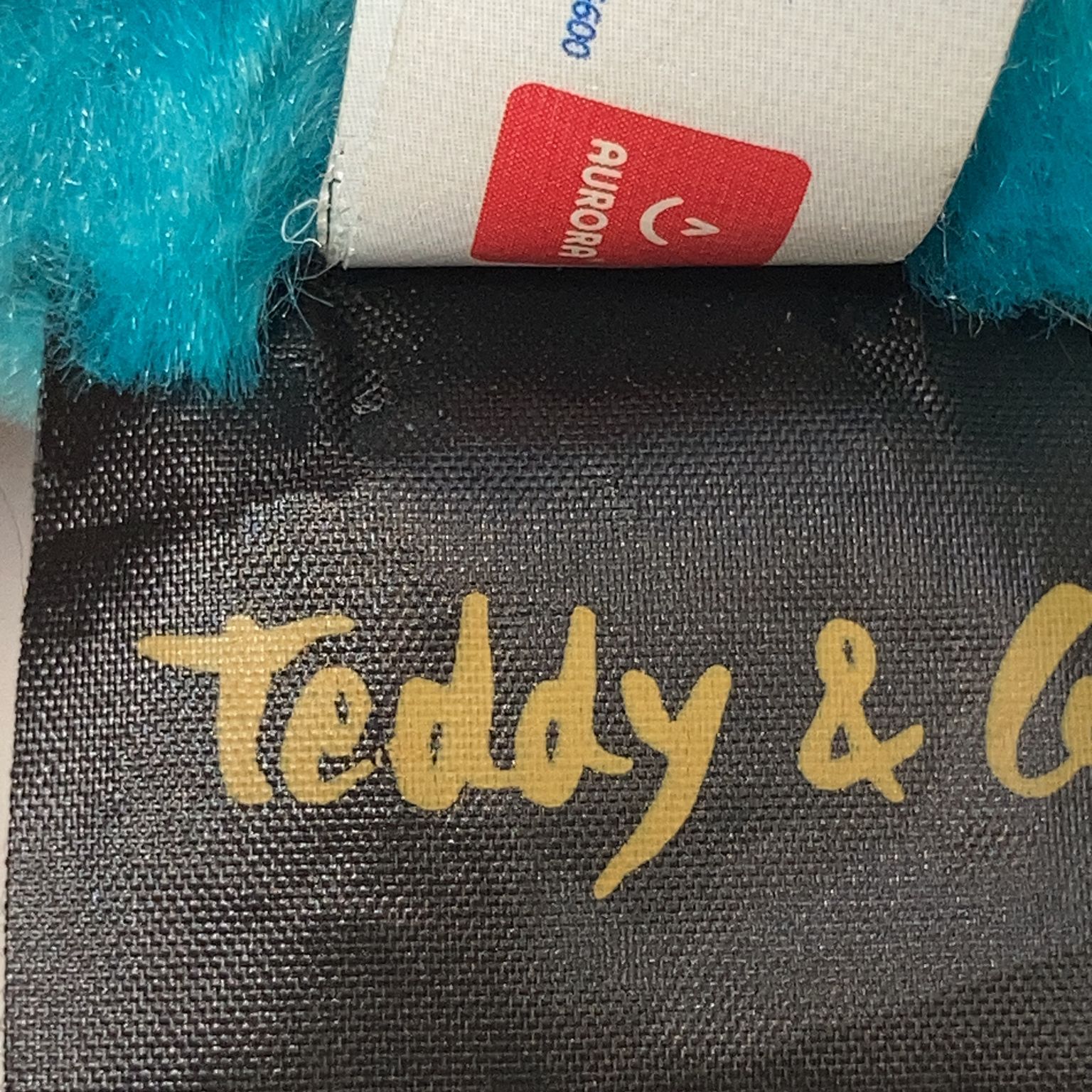 Teddy  Co