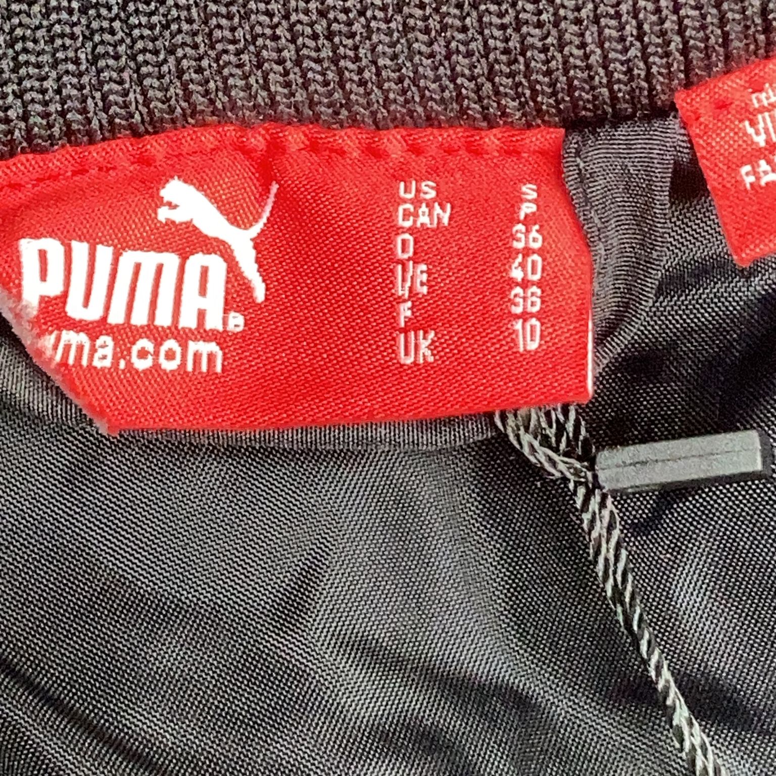 Puma