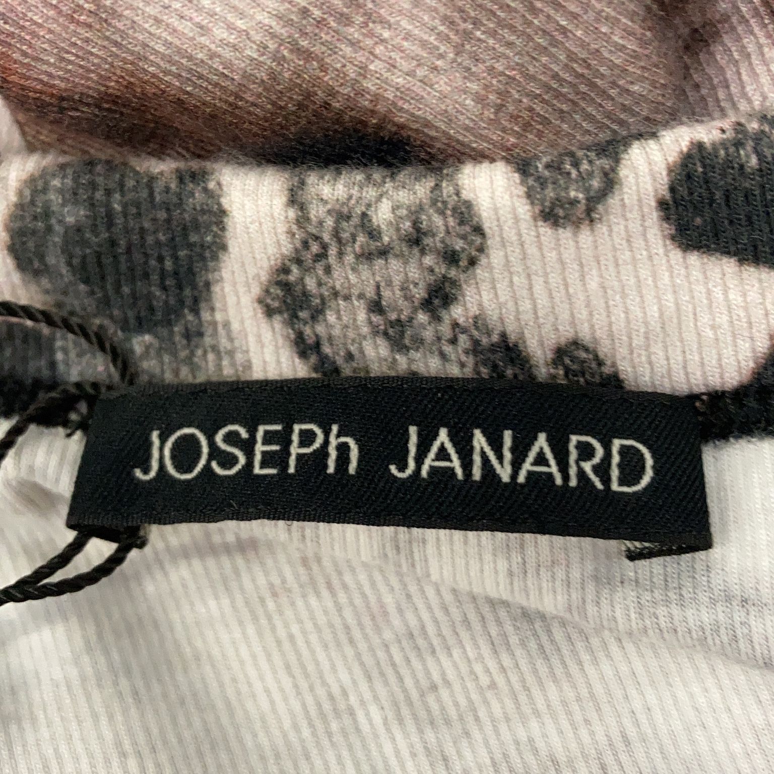 Joseph Janard