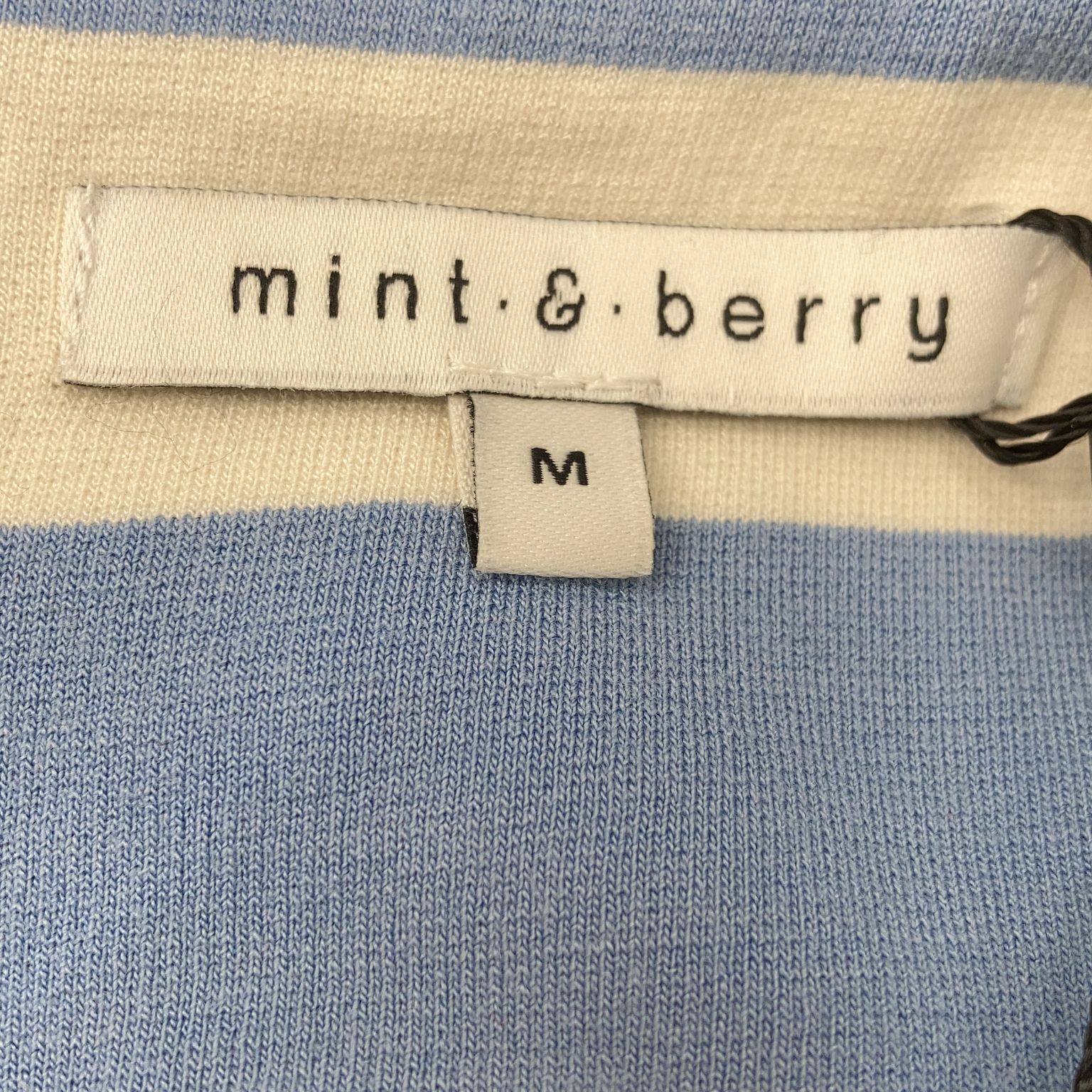 Mint  Berry