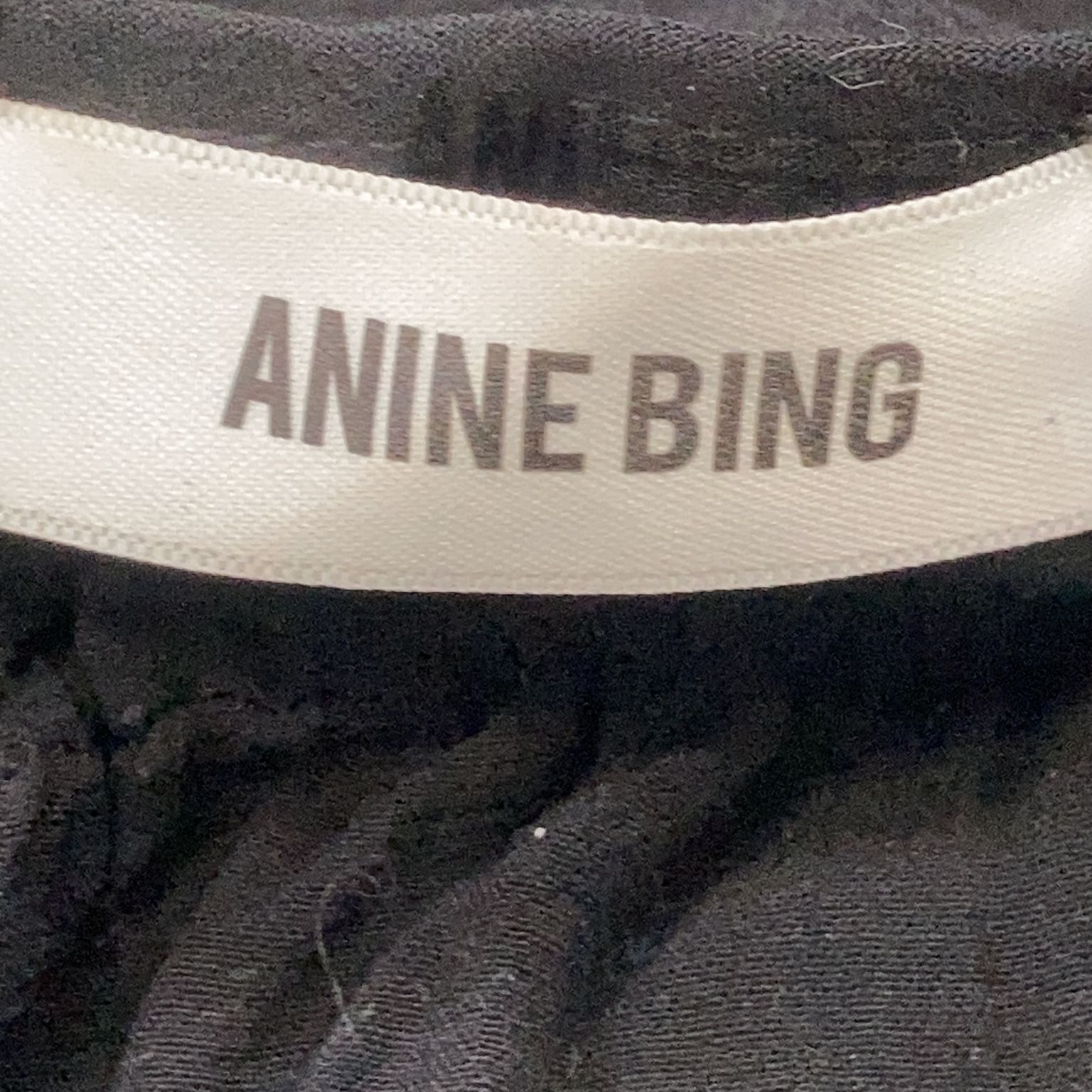 Anine Bing