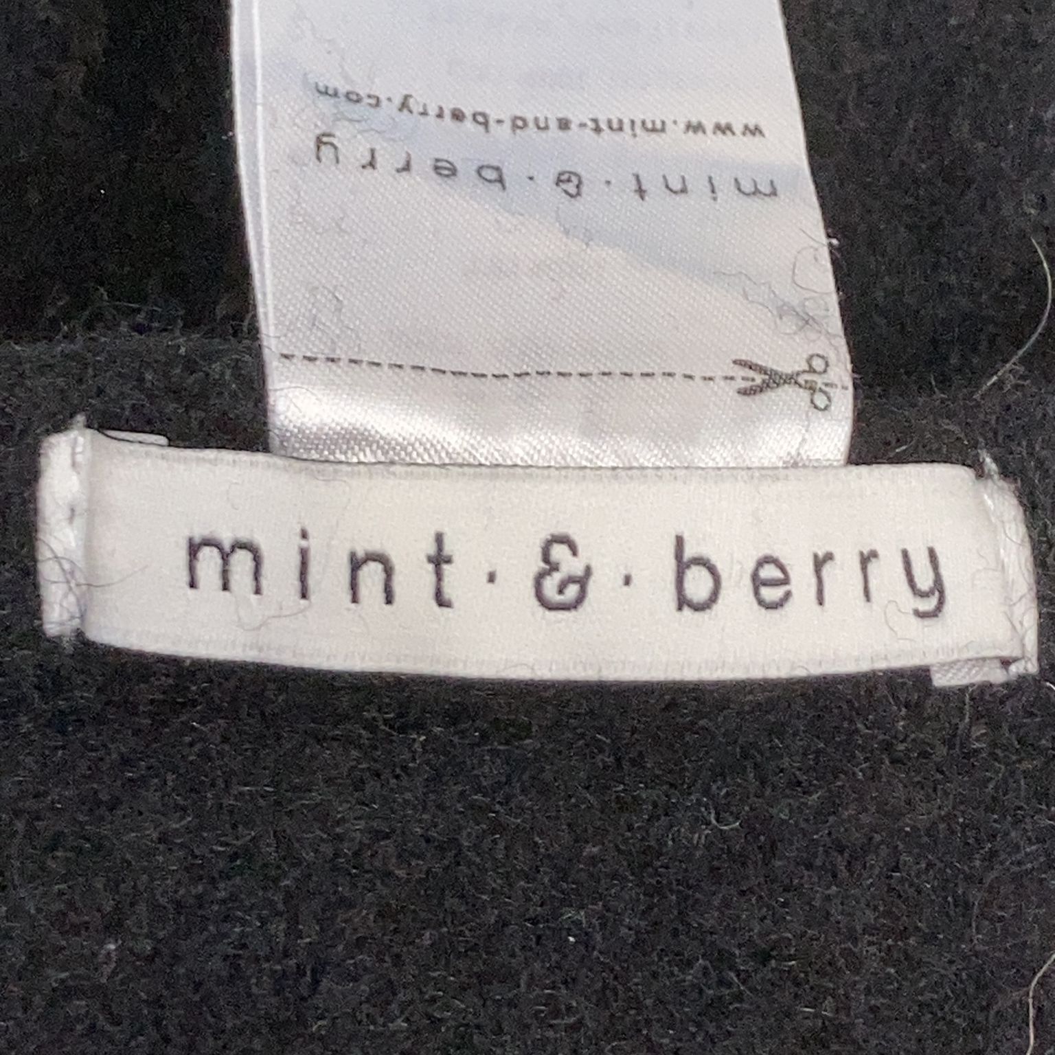 Mint  Berry