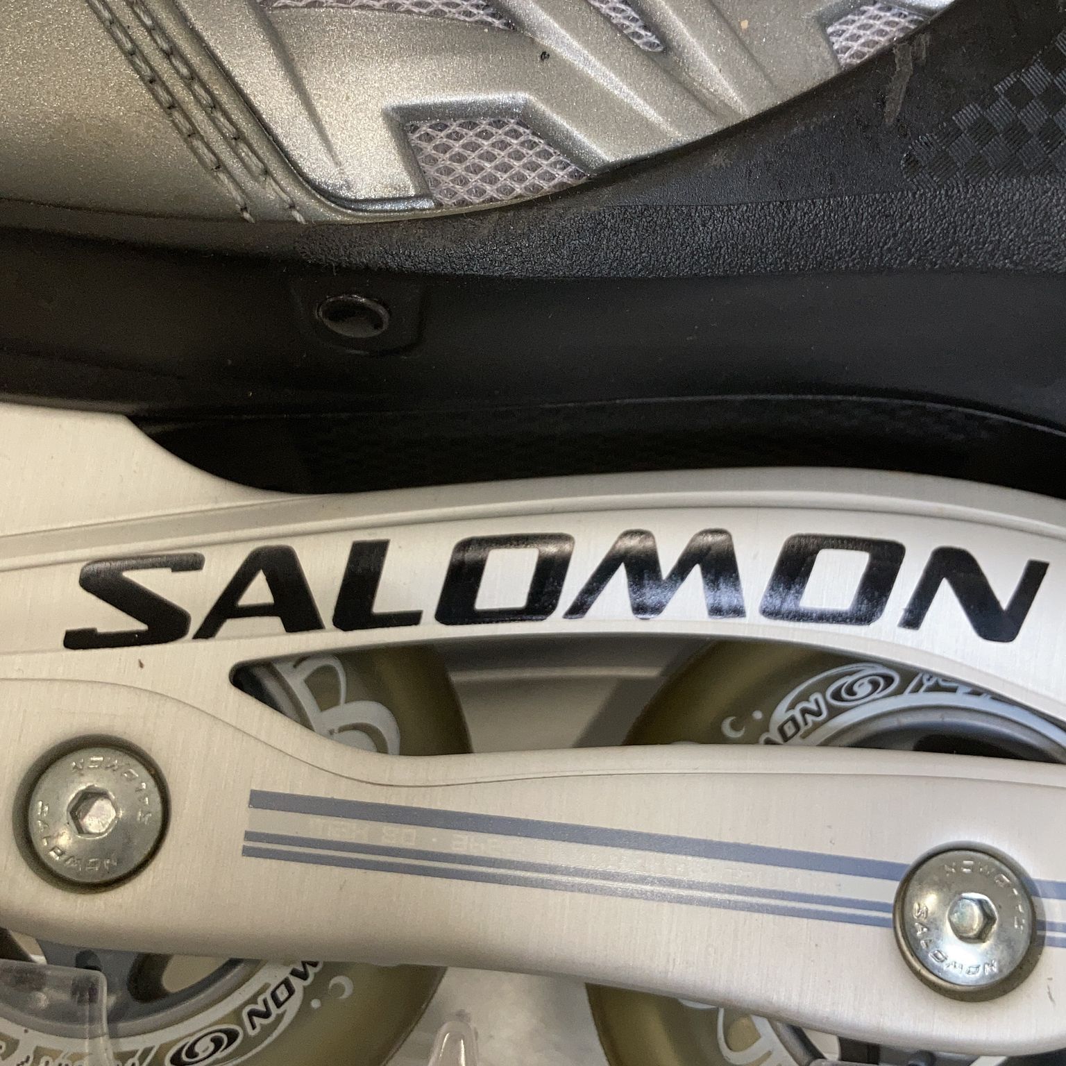 Salomon