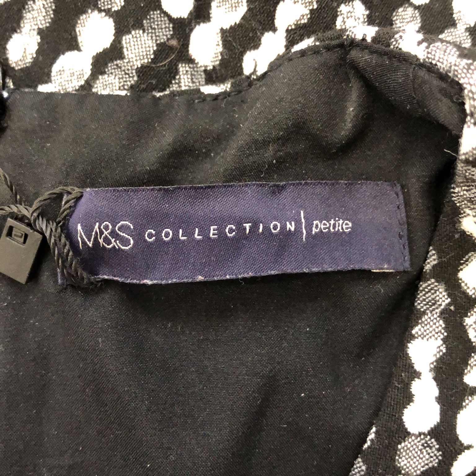 MS Collection