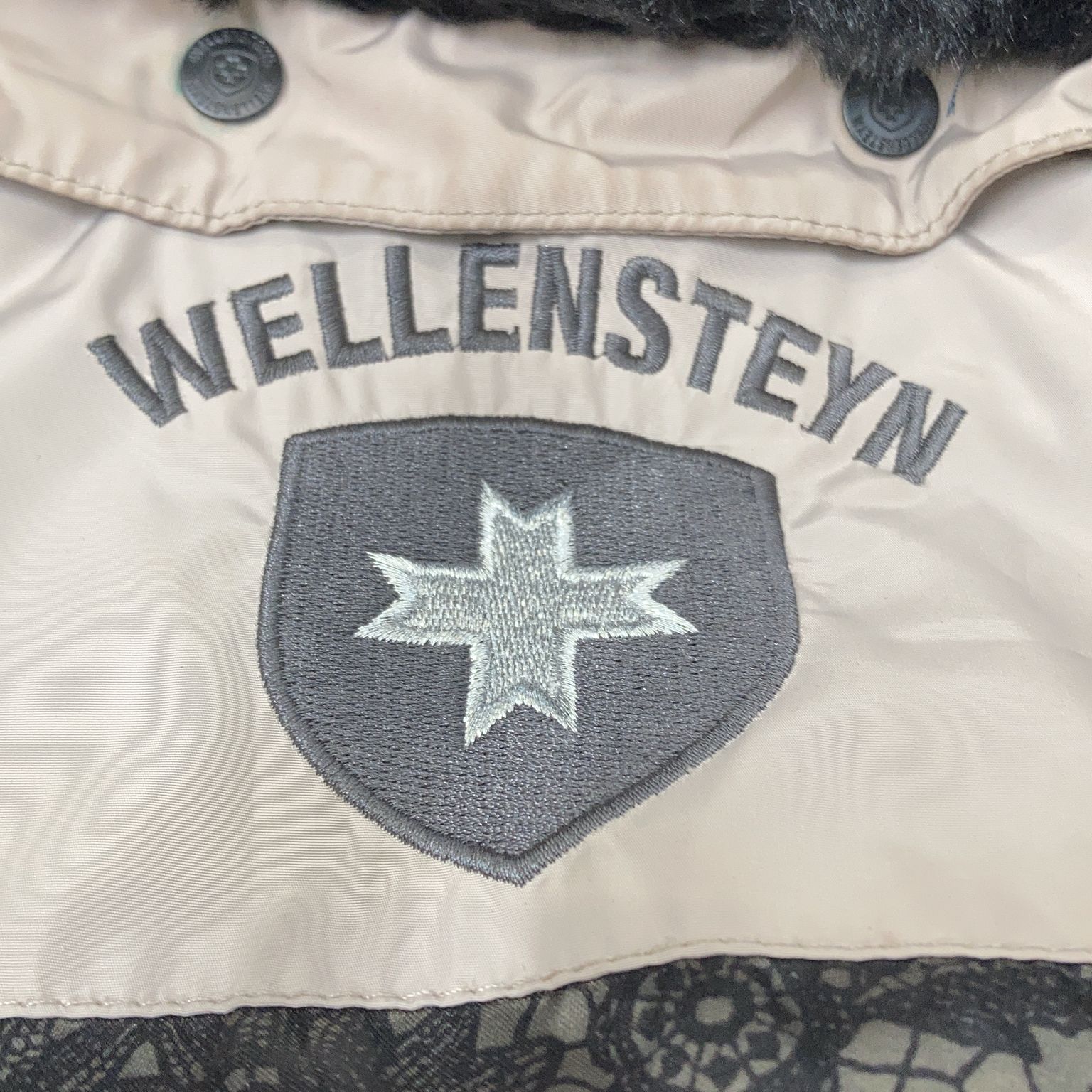 Wellensteyn