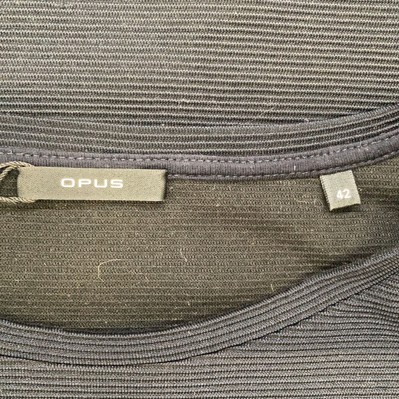 Opus