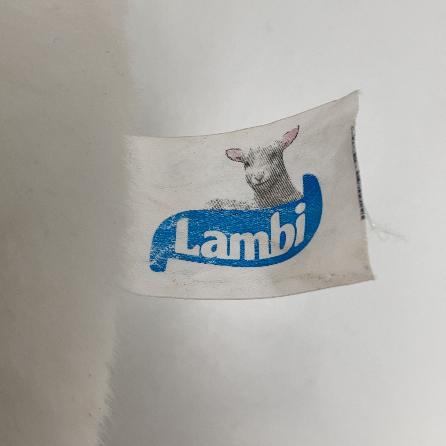 Lambi