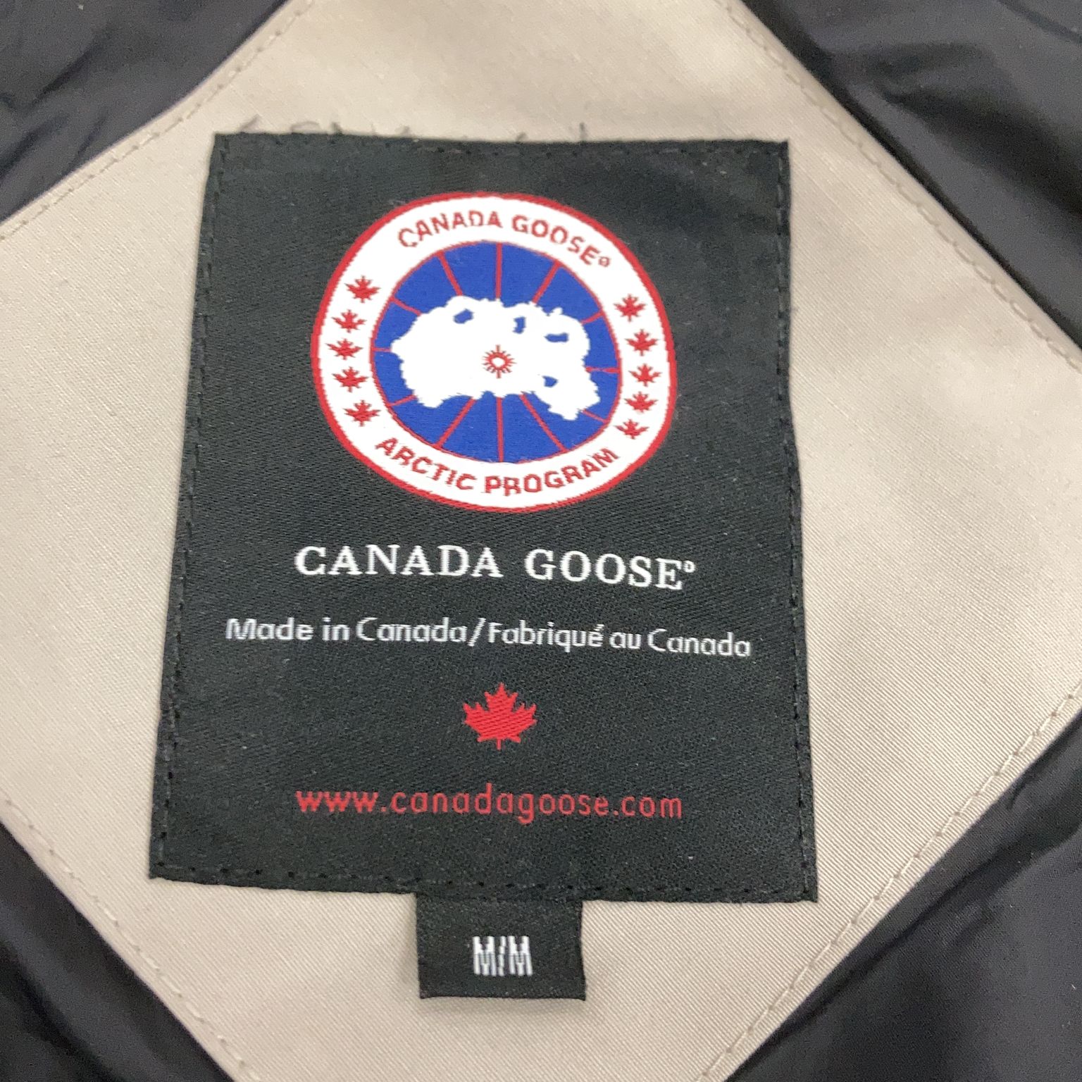 Canada Goose