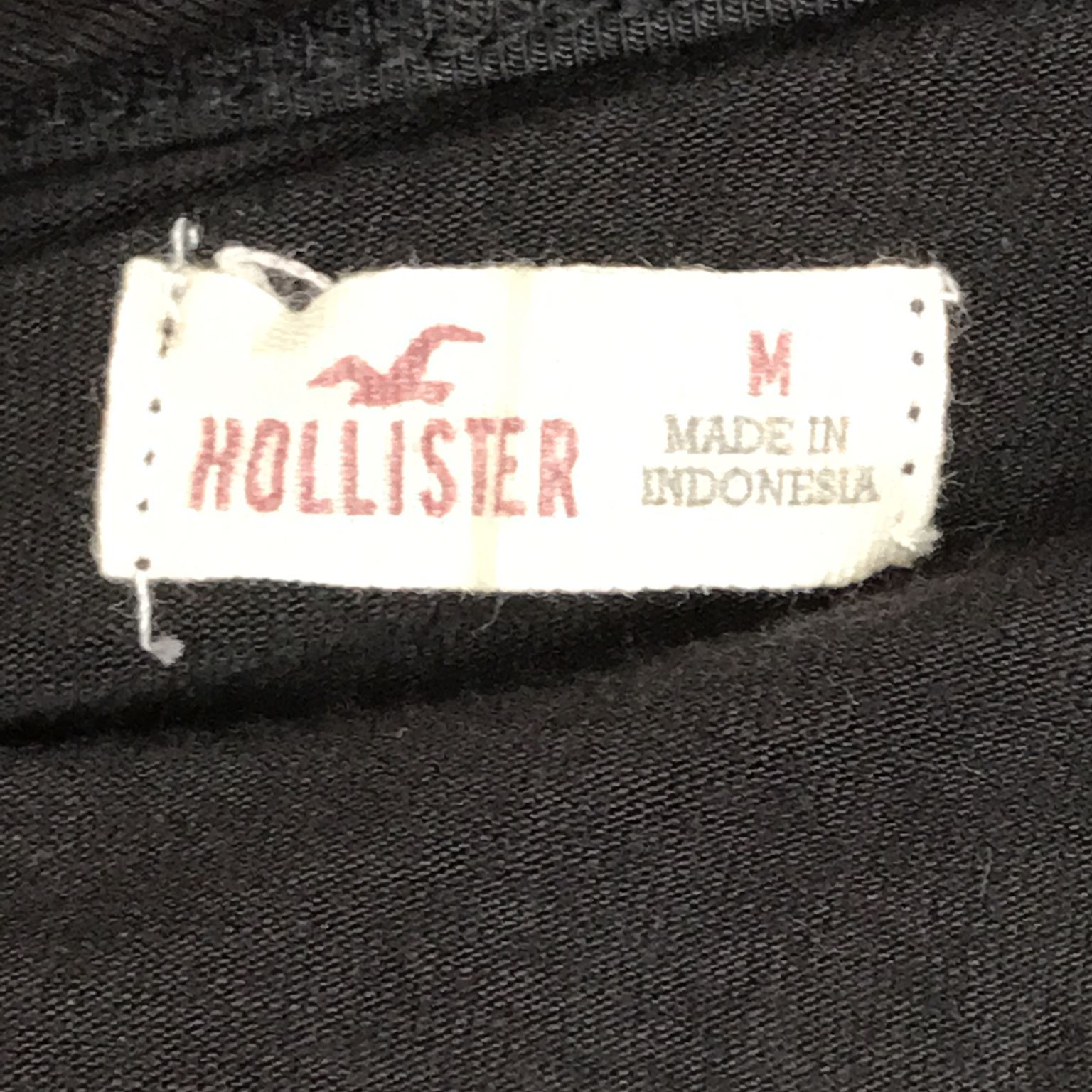 Hollister