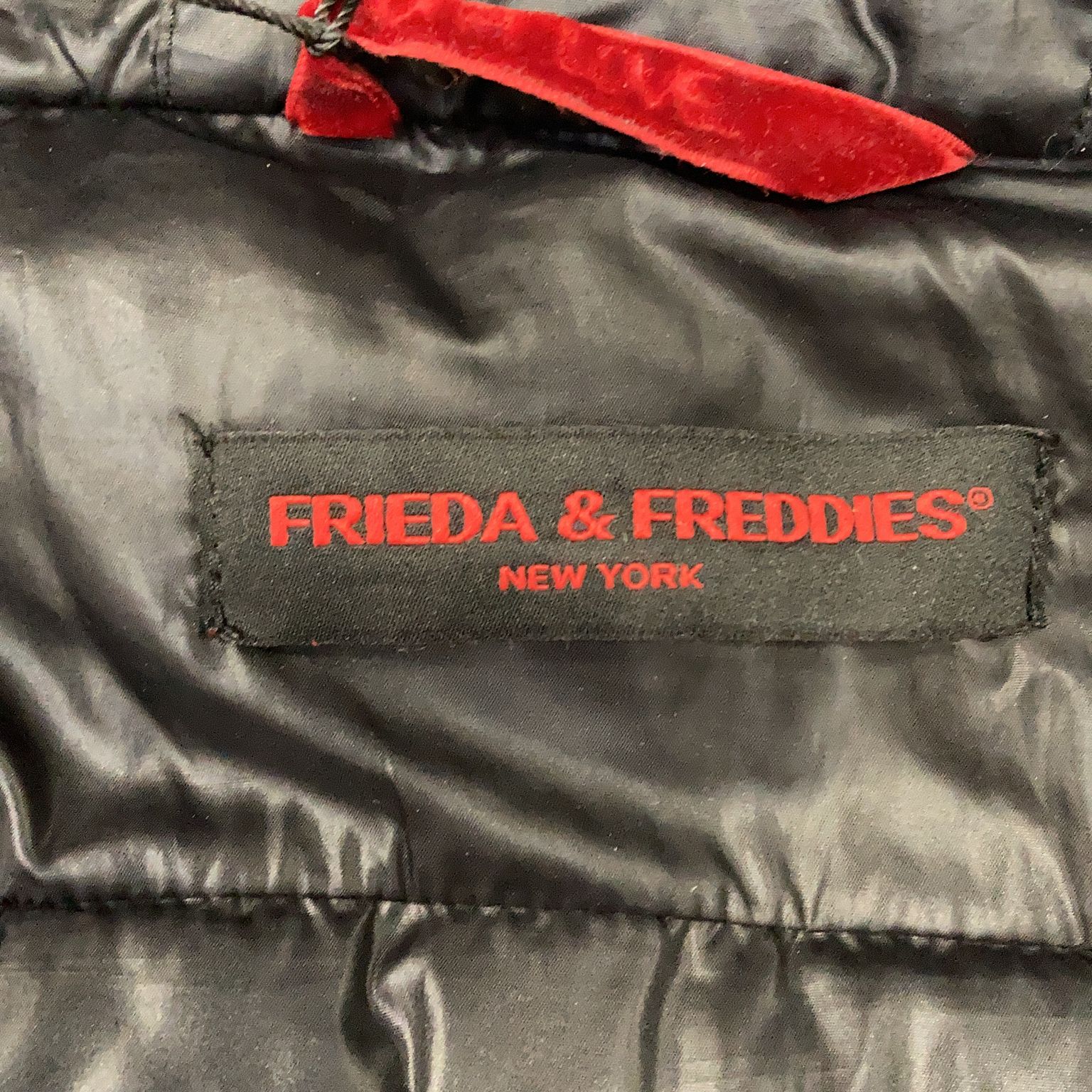 Frieda  Freddies