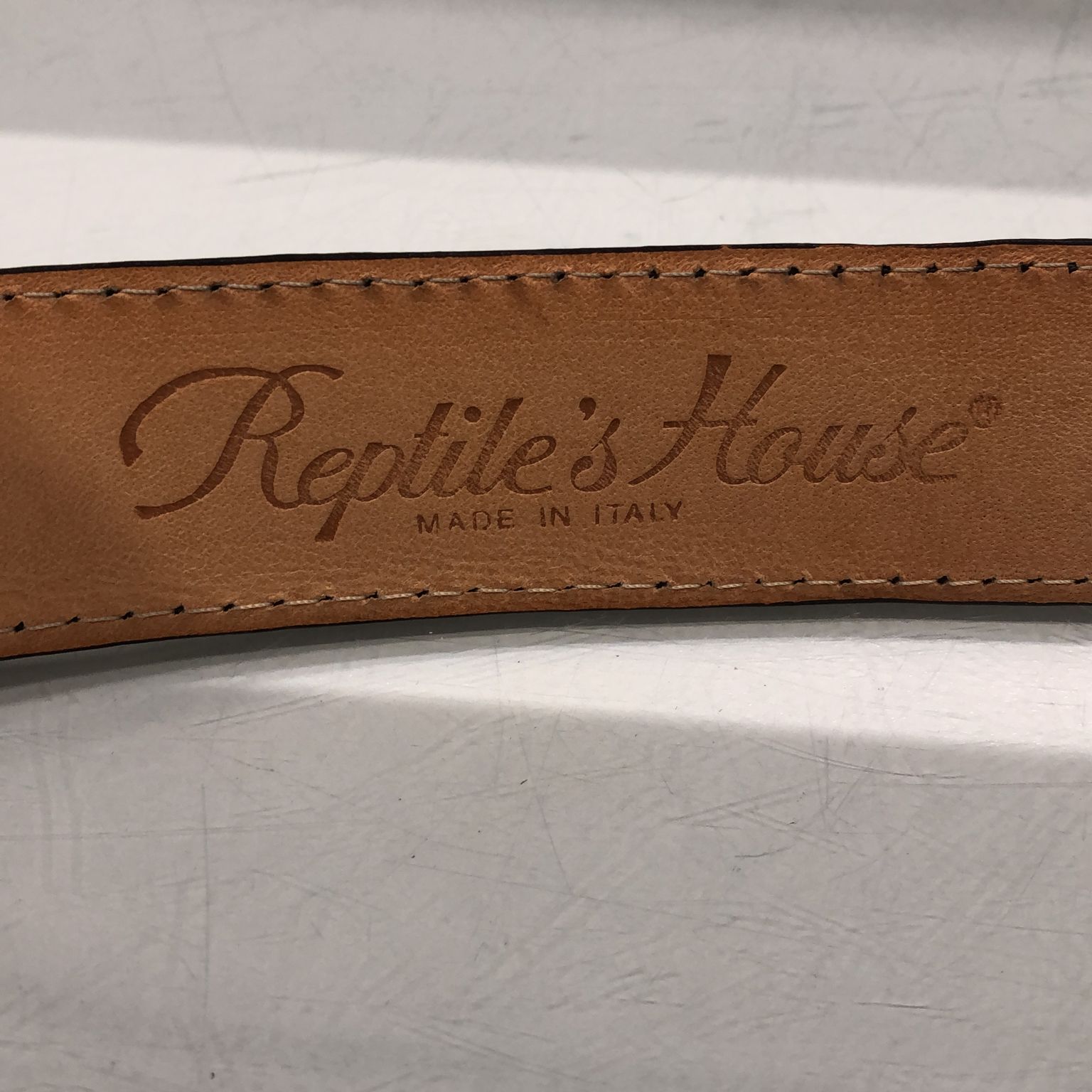 Reptile's House