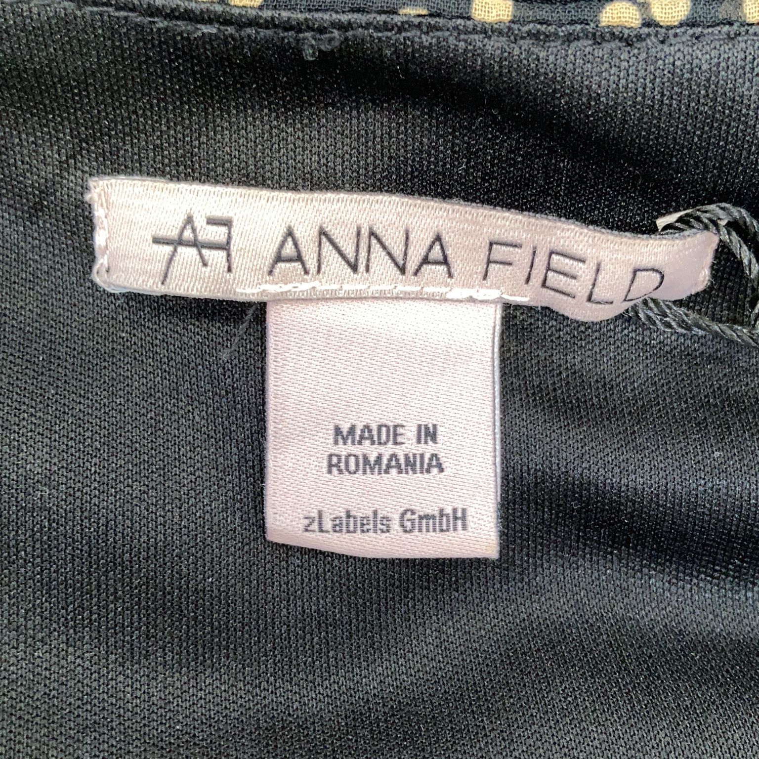 Anna Field