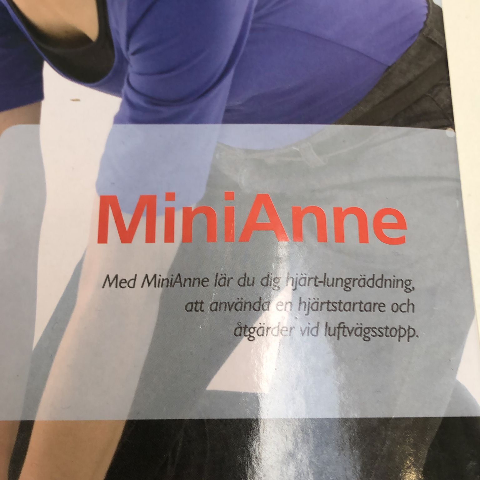 MiniAnne