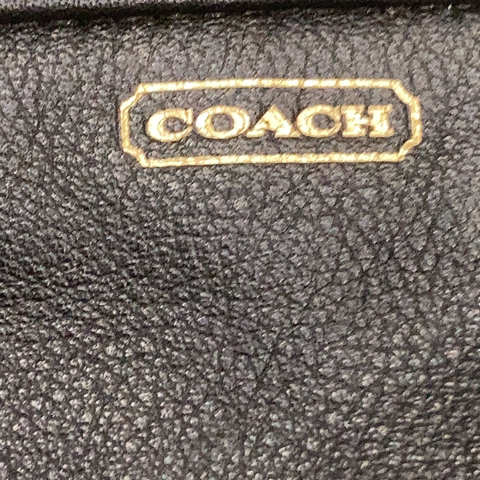 Coach