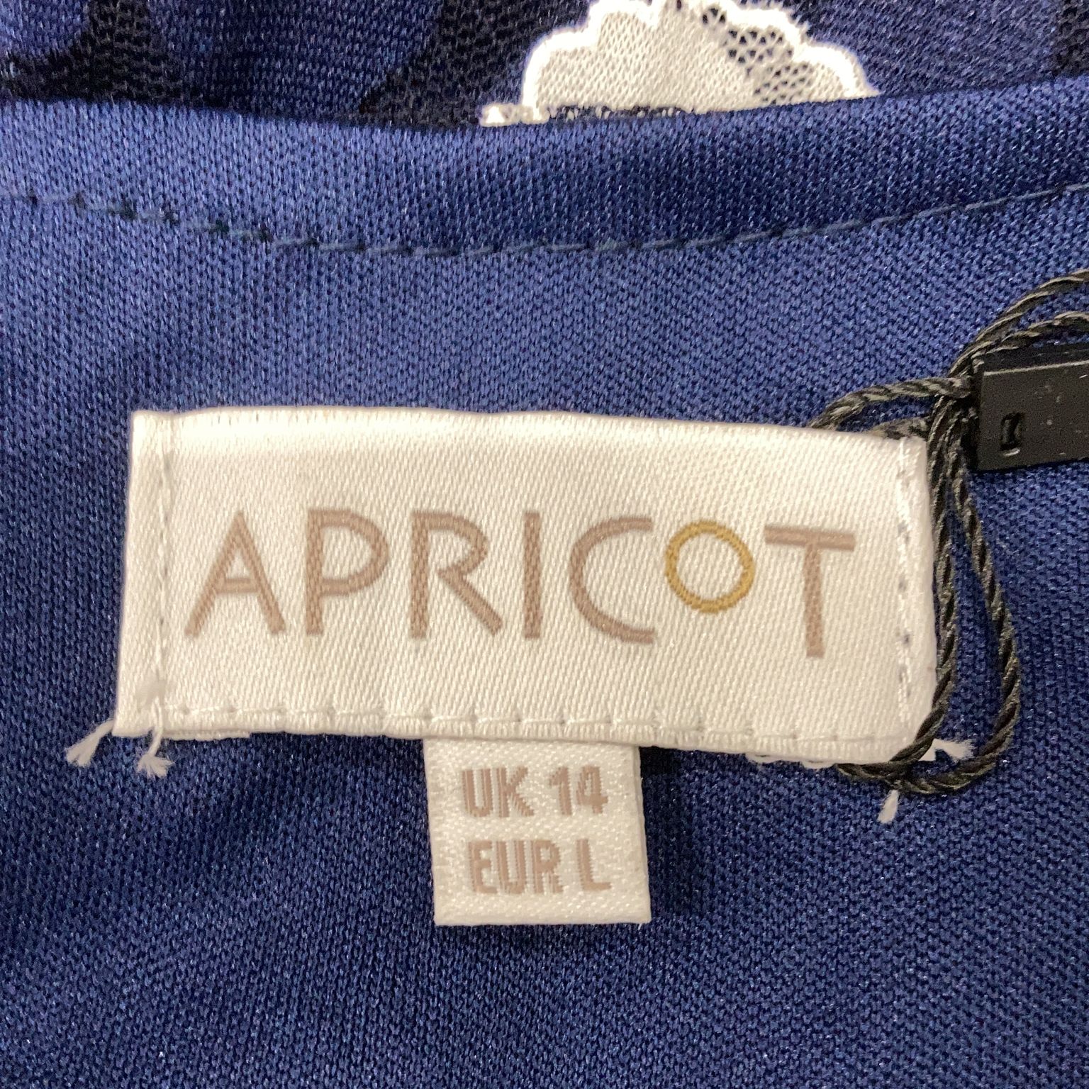 Apricot