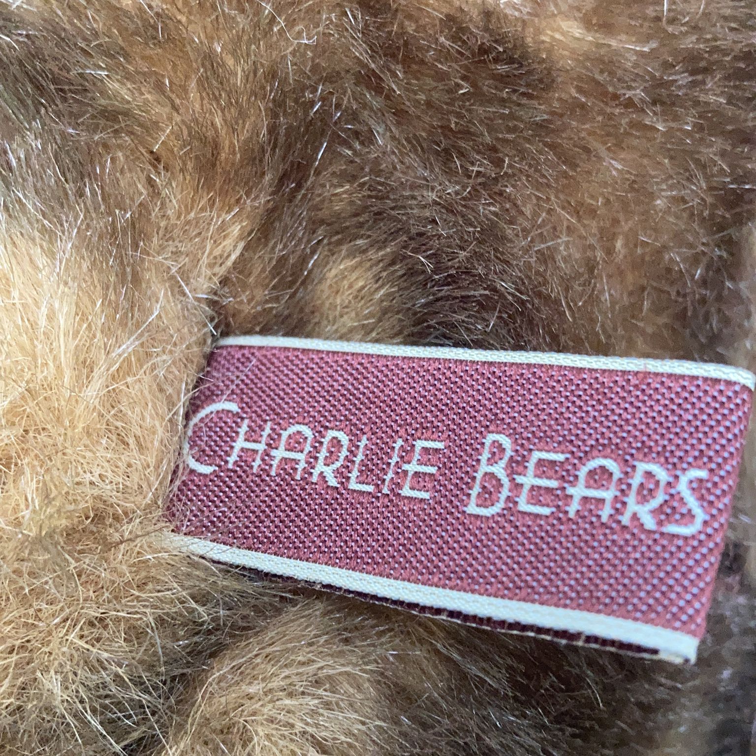 Charlie Bears