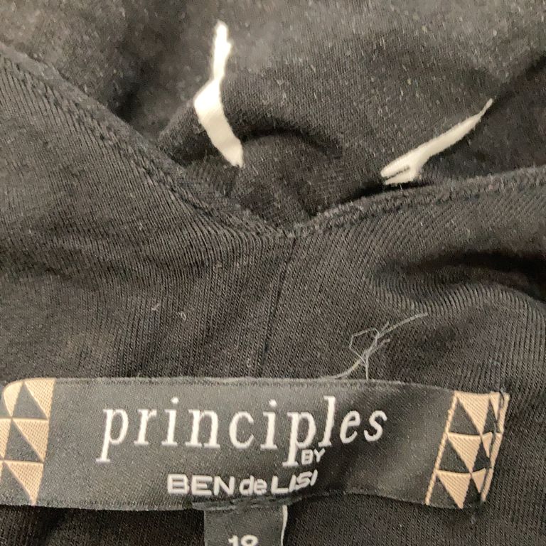 Principles by Ben de Lisi