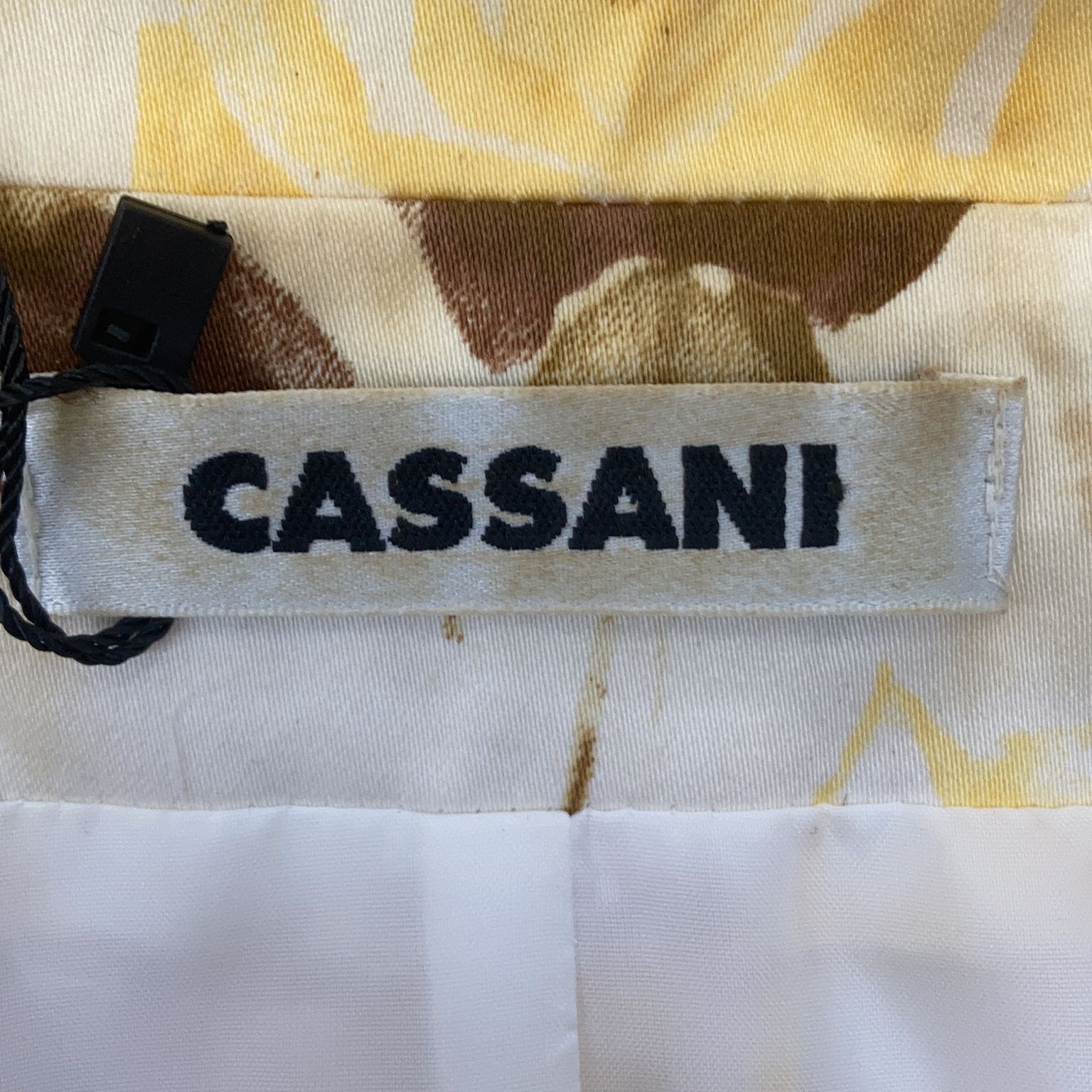 Cassani