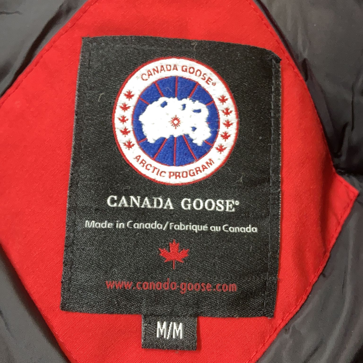 Canada Goose