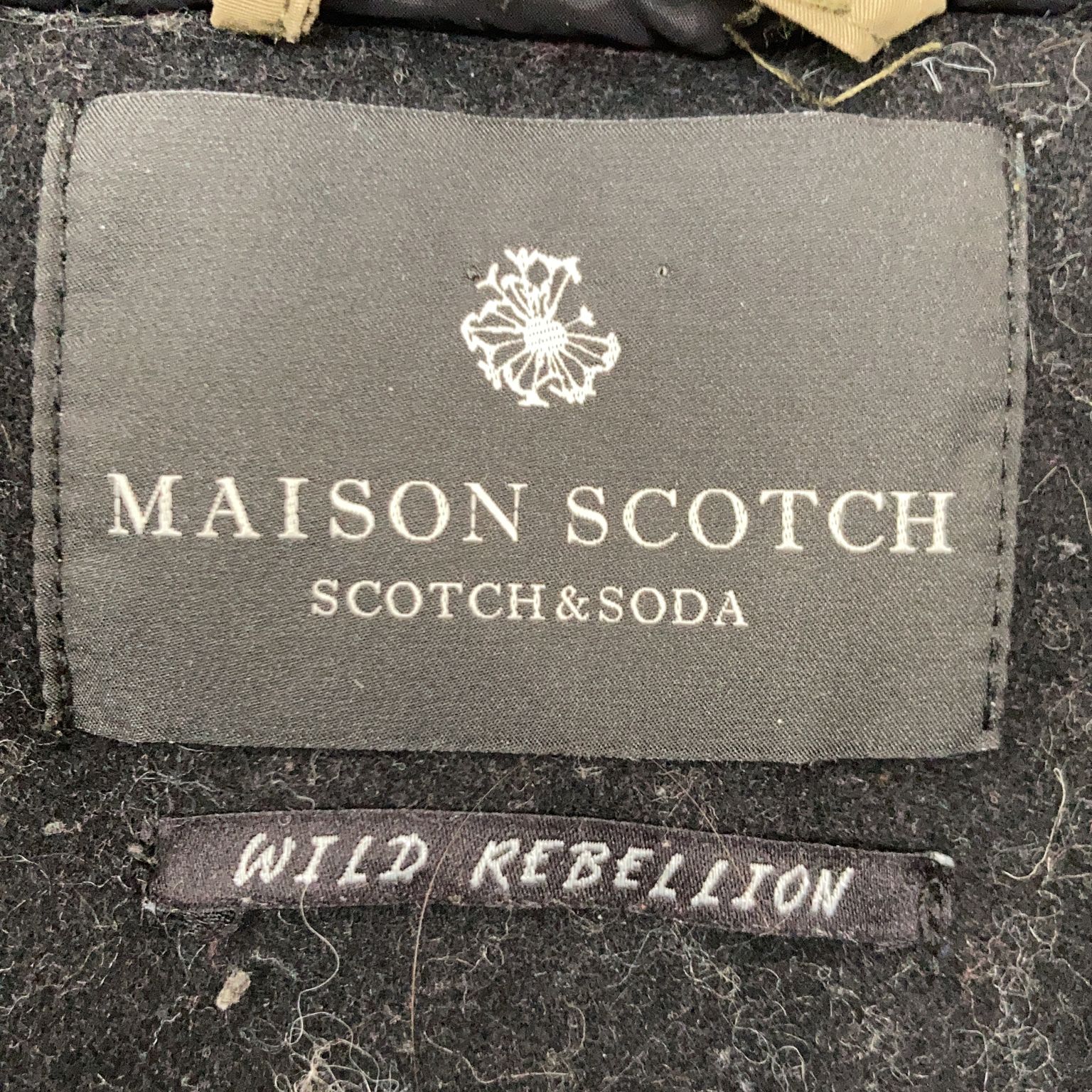 Maison Scotch