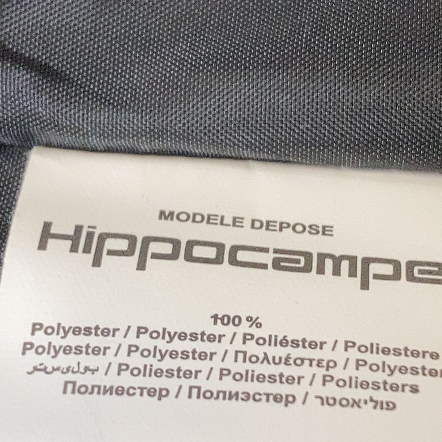 Hippocampe