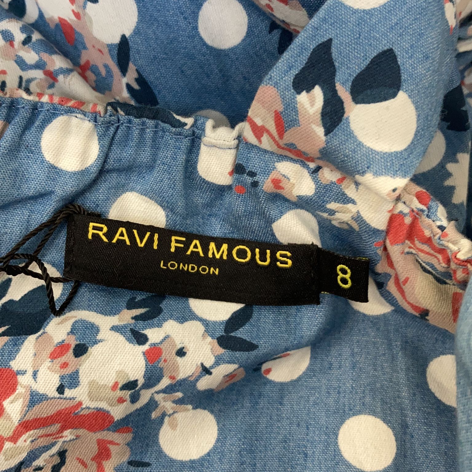 Ravi Famous