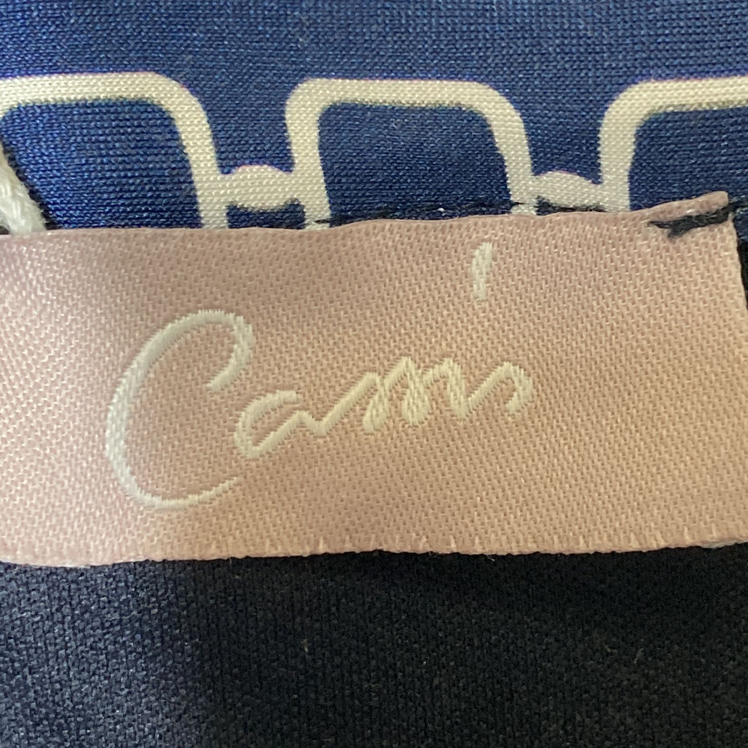 Cam