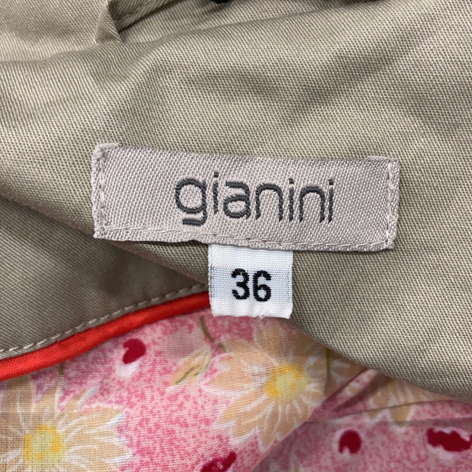 Gianini