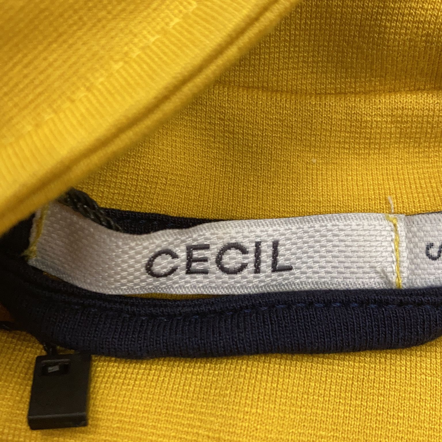 Cecil