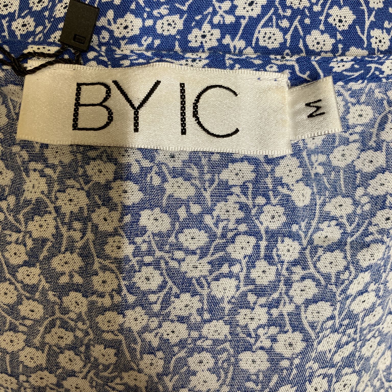 BYIC