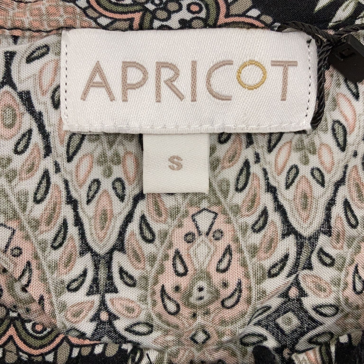 Apricot