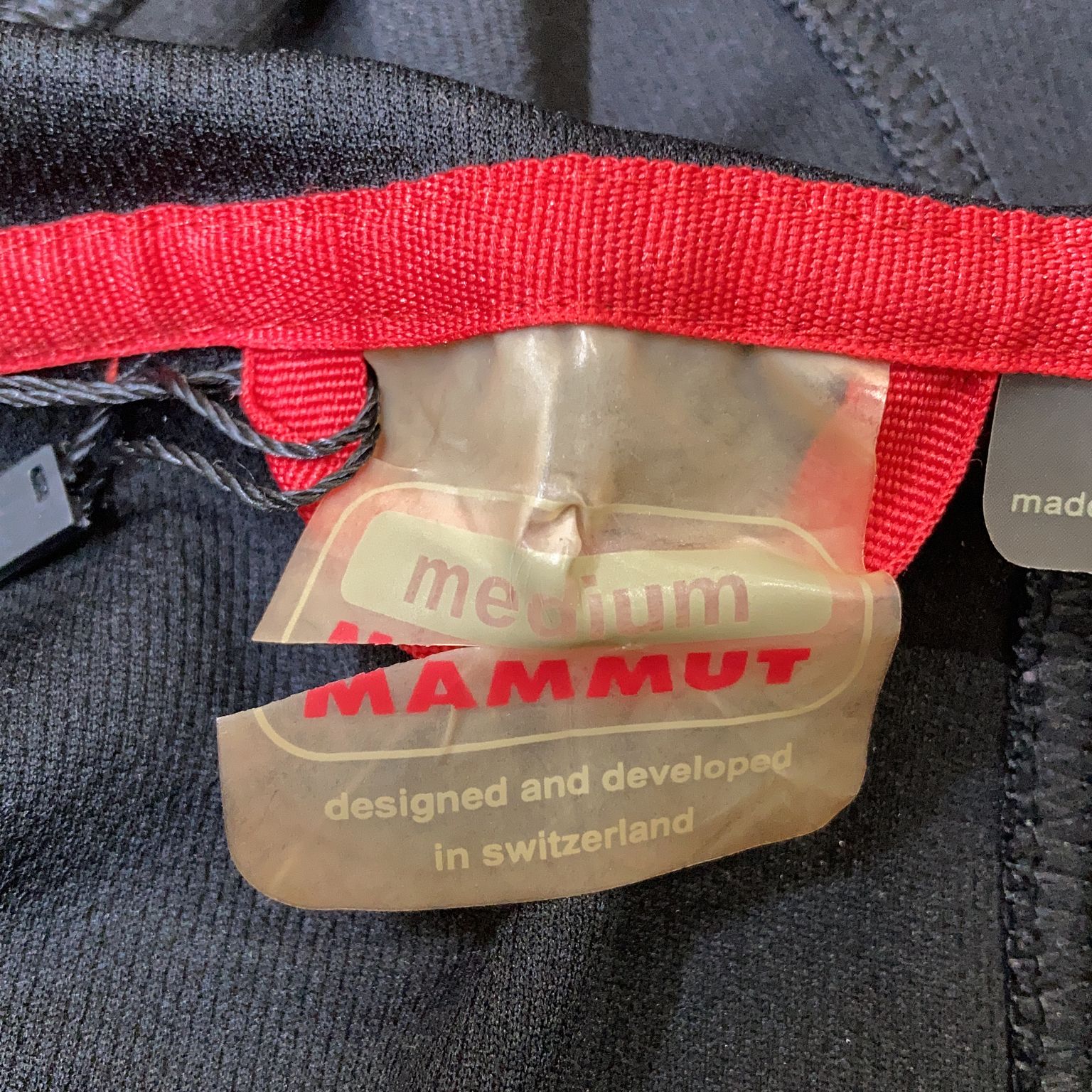 Mammut