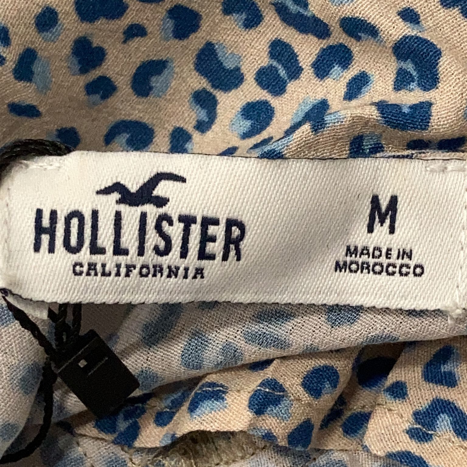 Hollister