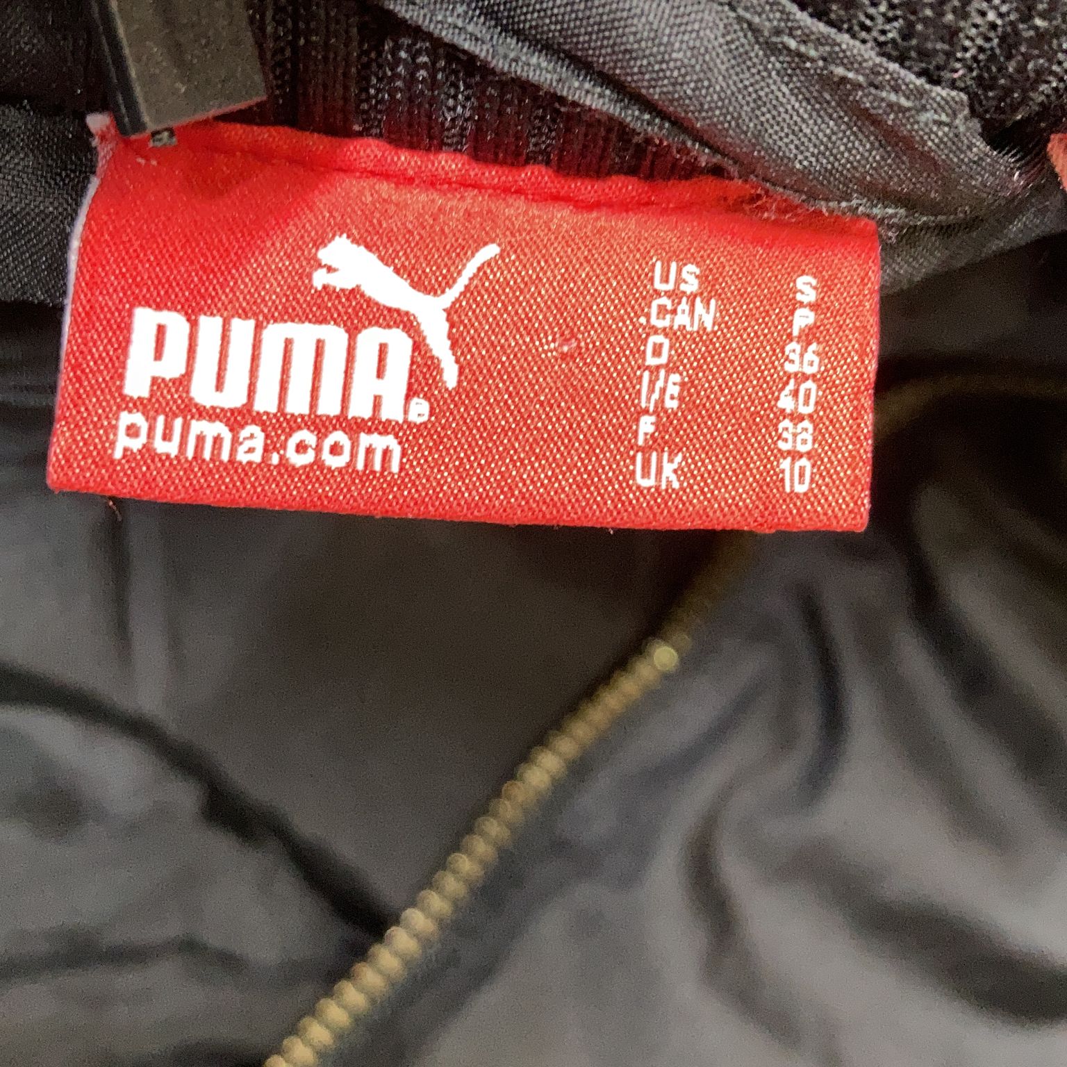 Puma