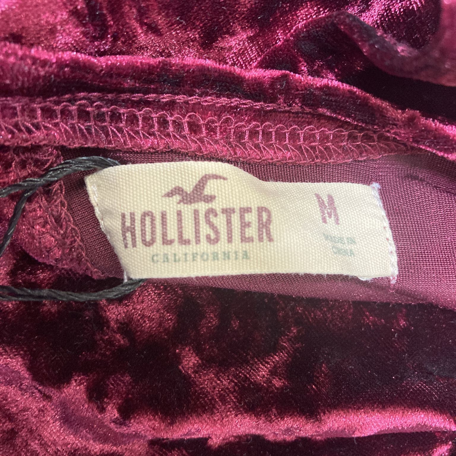 Hollister